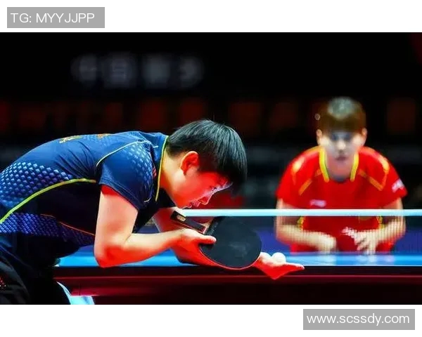 从零基础到高手之路乒乓球力量训练全解析与技巧分享