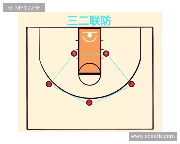 南京篮球队区域防守革新之路：战术创新与球队发展全景解析