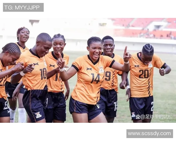 赞比亚足球明星盘点及其在国际赛场上的辉煌成就解析