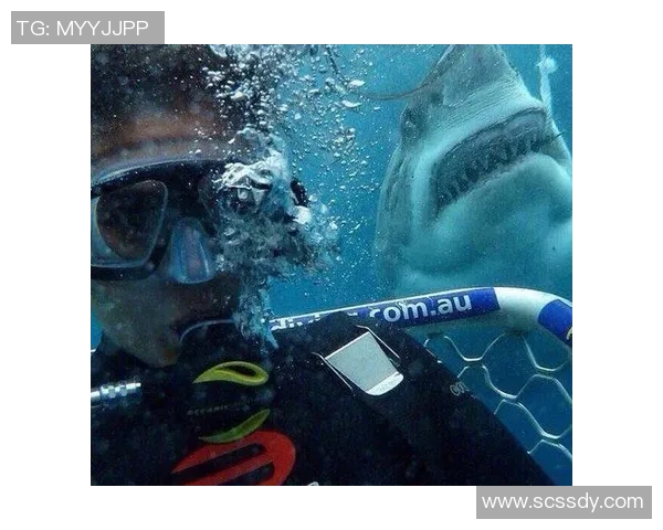 在日本街头偶遇足球明星的奇妙瞬间与精彩故事分享